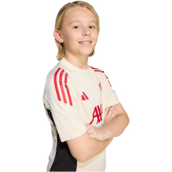 adidas FC Liverpool Competition Trainingstrikot 2025/26...