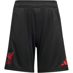 adidas FC Liverpool Trainingsshorts 2025/26 Kinder JV6556...