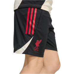 adidas FC Liverpool Trainingsshorts 2025/26 Kinder JV6556...