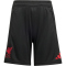 adidas FC Liverpool Trainingsshorts 2025/26 Kinder JV6556 - black 116