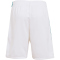 adidas Originals FC Liverpool Ausweich-Minikit 2025/26 Kinder JV6470 - Sea Green 92