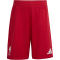 adidas FC Liverpool Heim-Minikit 2025/26 Kinder JV6442 - Strawberry Red 92