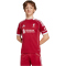 adidas FC Liverpool Heimtrikot 2025/26 Kinder JV6436 - Strawberry Red 128