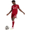 adidas FC Liverpool Authentic Heimtrikot 2025/26 Herren JY4237 - Strawberry Red XS