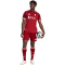 adidas FC Liverpool Authentic Heimtrikot 2025/26 Herren JY4237 - Strawberry Red XS