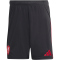 adidas FC Liverpool Auswärtsshorts 2025/26 Herren JY4233 - black XS