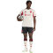 adidas FC Liverpool Auswärtsshorts 2025/26 Herren JY4233 - black XS