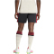 adidas FC Liverpool Auswärtsshorts 2025/26 Herren JY4233 - black XS