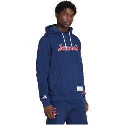 adidas FC Arsenal US Hoodie 2025/26 Herren JM9413 - night...