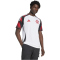 adidas CR Flamengo Auswärtstrikot 2025/26 Herren IV6042 - white S