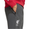adidas FC Liverpool US Trainingshose 2025/26 Herren JW5486 - dgh solid grey S