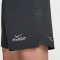 NIKE Challenger Dri-FIT 5BF Flash Shorts Herren