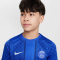 NIKE Paris Saint-Germain Dri-FIT Academy Pro Heim/Auswärts kurzarm Aufwärmshirt Kinder