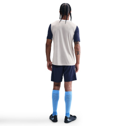 NIKE Tottenham Hotspur Dri-FIT Strike kurzarm Trainingsshirt Herren