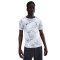 NIKE Tottenham Hotspur Dri-FIT Academy Pro Heim kurzarm Aufwärmshirt Herren