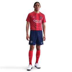 NIKE Paris Saint-Germain Dri-FIT Academy Pro Heim/Auswärts kurzarm Aufwärmshirt Herren