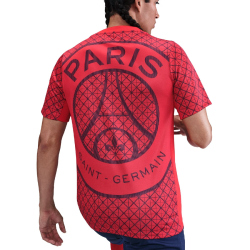 NIKE Paris Saint-Germain Dri-FIT Academy Pro Heim/Auswärts kurzarm Aufwärmshirt Herren