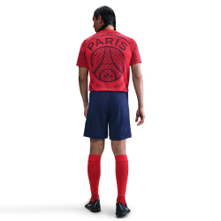 NIKE Paris Saint-Germain Dri-FIT Academy Pro Heim/Auswärts kurzarm Aufwärmshirt Herren