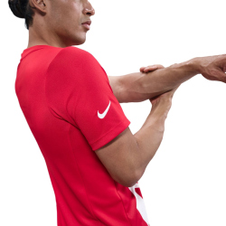 NIKE Atlético Madrid Dri-FIT Academy Pro kurzarm Aufwärmshirt Herren