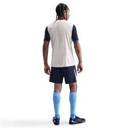 NIKE Tottenham Hotspur Dri-FIT Strike Shorts Herren