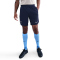 NIKE Tottenham Hotspur Dri-FIT Strike Shorts Herren
