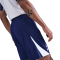 NIKE Tottenham Hotspur Dri-FIT Strike Shorts Herren