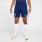 NIKE Inter Mailand Dri-FIT Strike Shorts Herren