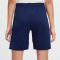 NIKE Tottenham Hotspur Dri-FIT Stadium Heimshorts Kinder