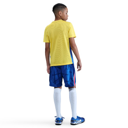 NIKE FC Chelsea London Dri-FIT Stadium Heimshorts Kinder
