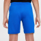 NIKE Atlético Madrid Dri-FIT Stadium Heimshorts Kinder