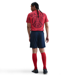 NIKE Paris Saint-Germain Dri-FIT Stadium Heimshorts Herren