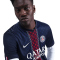 NIKE Paris Saint-Germain Dri-FIT Stadium Heimtrikot Herren