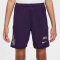 NIKE Kylian Mbappé Academy25 Dri-FIT Shorts Kinder 585 - grand purple/grand purple/metallic gold S (128-137 cm)