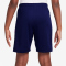 NIKE Kylian Mbappé Academy25 Dri-FIT Shorts Kinder 492 - blue void/blue void/metallic gold S (128-137 cm)