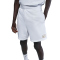 NIKE Sportswear Swoosh Air Sweatshorts Herren 100 - white/lt orewood brn S