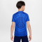 NIKE Paris Saint-Germain Dri-FIT Academy Pro Heim/Auswärts kurzarm Aufwärmshirt Kinder 406 - hyper royal/midnight navy/white XS (122-128 cm)