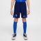 NIKE Paris Saint-Germain Dri-FIT Strike Shorts Kinder 410 - midnight navy/hyper royal/white M (137-147 cm)