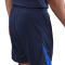 NIKE Paris Saint-Germain Dri-FIT Strike Shorts Herren 410 - midnight navy/hyper royal/white L