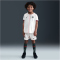 NIKE FC Chelsea London Dri-FIT Stadium Auswärts-Minikit Kinder 031 - phantom/speed red/galactic jade M (110-116 cm)