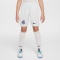 NIKE Inter Mailand Dri-FIT Stadium Auswärtsshorts Kinder 496 - ghost aqua/blue void XS (122-128 cm)