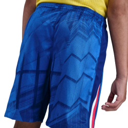 NIKE FC Chelsea London Dri-FIT Stadium Heimshorts Kinder...