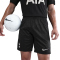 NIKE Tottenham Hotspur Dri-FIT Stadium Auswärtsshorts Herren 010 - black/lt iron ore XS