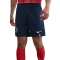 NIKE Paris Saint-Germain Dri-FIT Stadium Heimshorts Herren 410 - midnight navy/white M