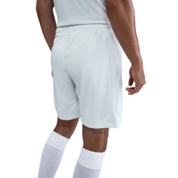 NIKE Inter Mailand Dri-FIT Stadium Auswärtsshorts...