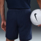 NIKE Paris Saint-Germain Dri-FIT ADV Match Heimshorts Herren 410 - midnight navy/white XL