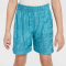 NIKE Multi Dri-FIT Shorts Kinder 345 - dusty cactus/smokey blue/white S (128-137 cm)