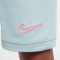 NIKE Academy 25 Dri-FIT Shorts Kinder 395 - ocean cube/ocean cube/hyper pink M (137-147 cm)