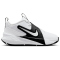 NIKE Team Hustle D Basketballschuhe Kinder 101 - white/white-black 36.5