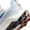 NIKE Wildhorse 10 Trailrunning Laufschuhe Herren 004 - pure platinum/armory navy-football grey 40