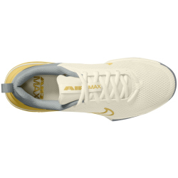 NIKE Air Max Alpha Trainer 6 Fitnessschuhe Herren 104 - sail/saturn gold-lt smoke grey 41